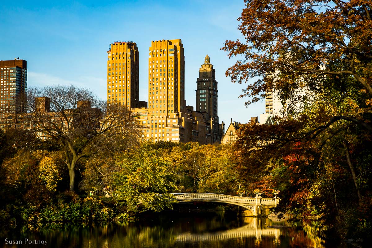 Read more about the article Central Park in Fall – Best Places to See and Photograph